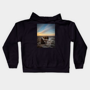 View of Pokeshaw Rock, New Brunswick Canada V1 Kids Hoodie